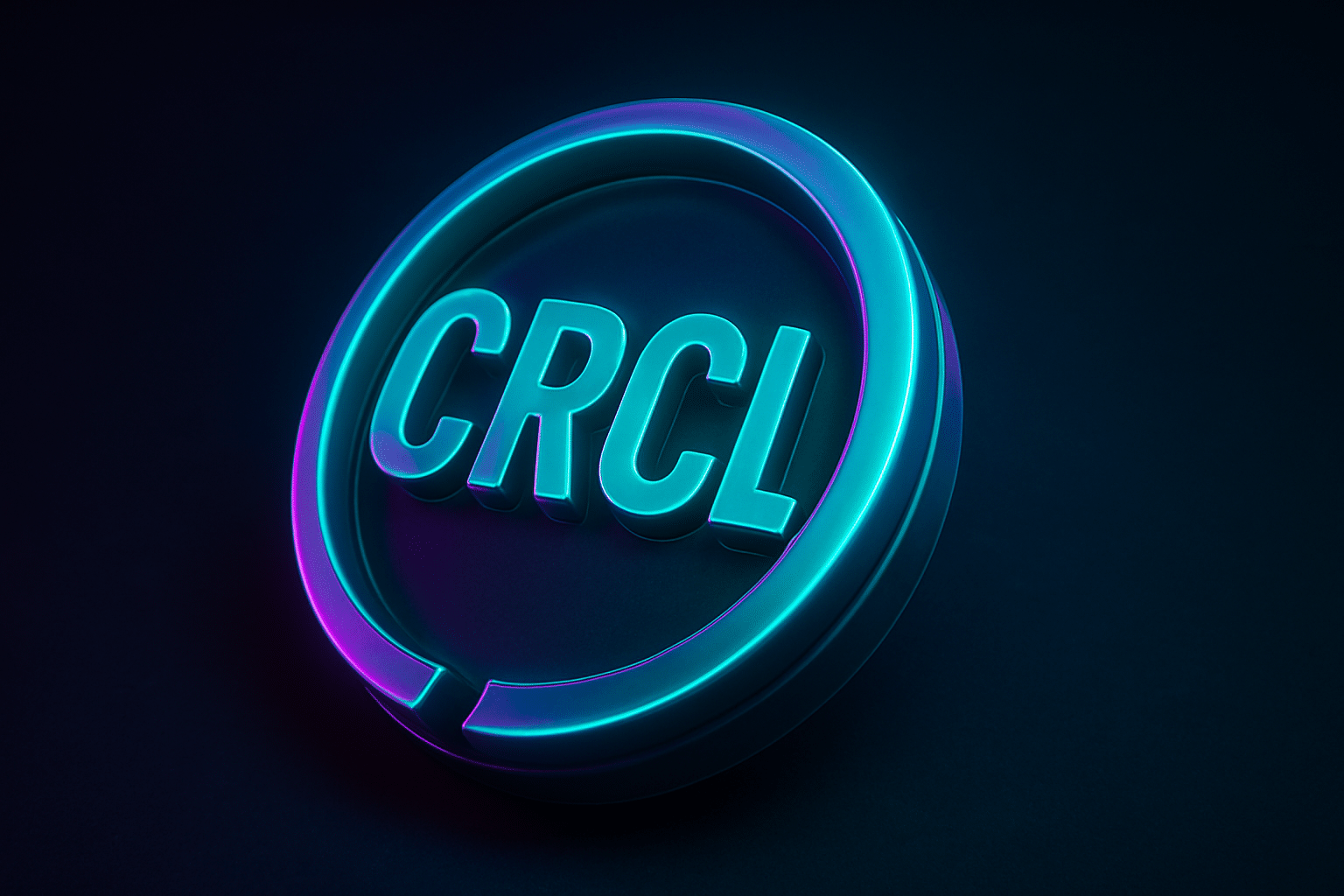Circle's IPO (CRCL)